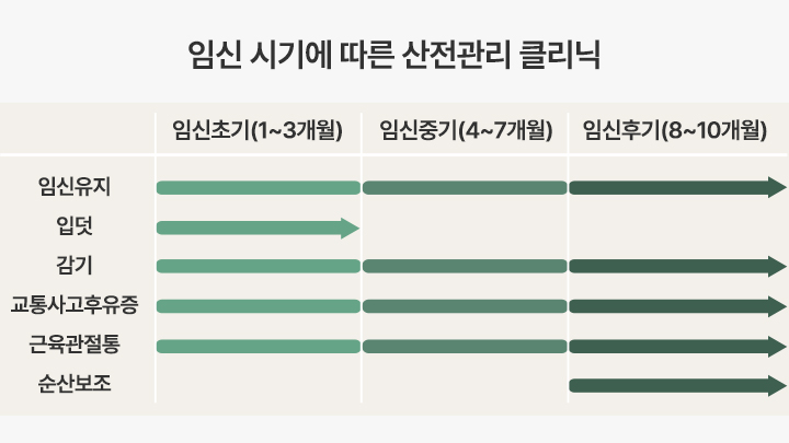 임신 시기에 따른 산전관리 클리닉 도표