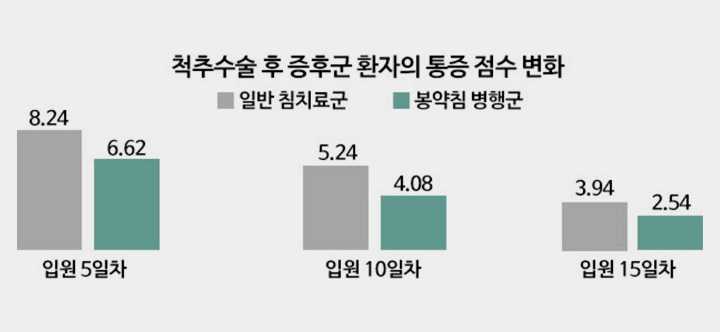 척추수술 후 증후군 환자의 통증 점수 변화